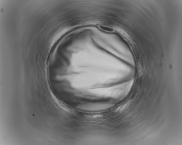 X0000075331047200609250942