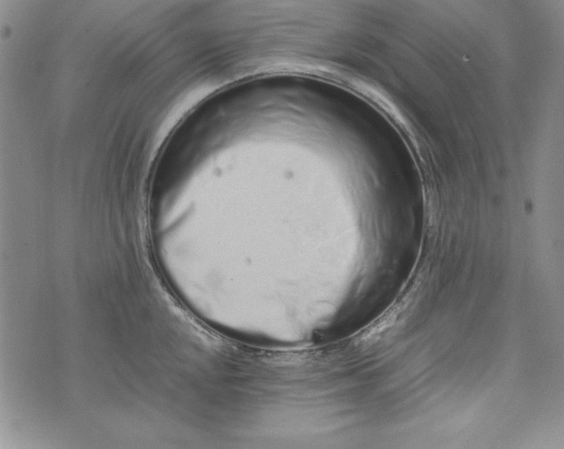 X0000075331048200609250942