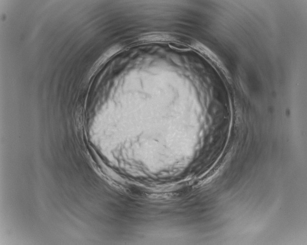 X0000075331049200609250942