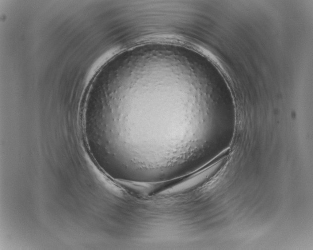 X0000075331050200609250942