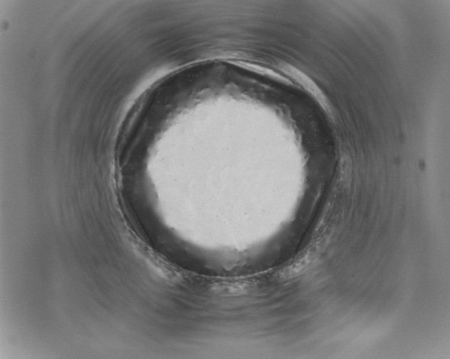 X0000075331051200609250942