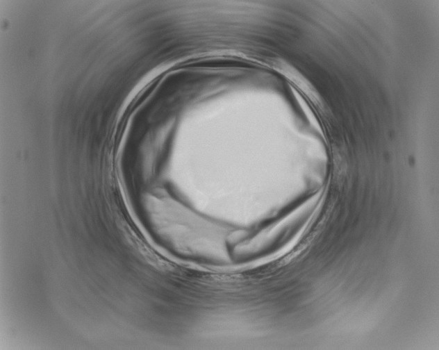 X0000075331052200609250942