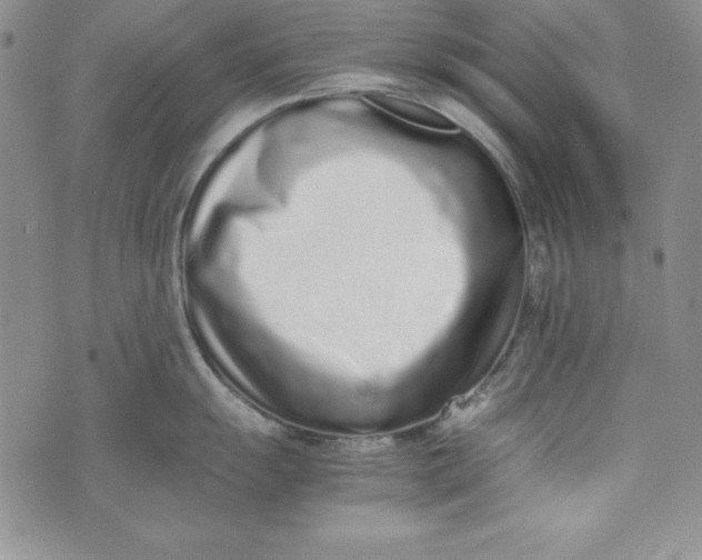 X0000075331055200609250942