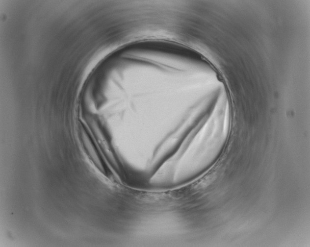 X0000075331056200609250942