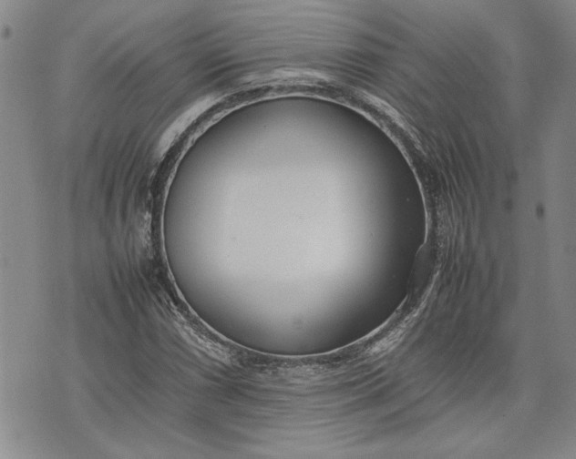 X0000075331066200609250941
