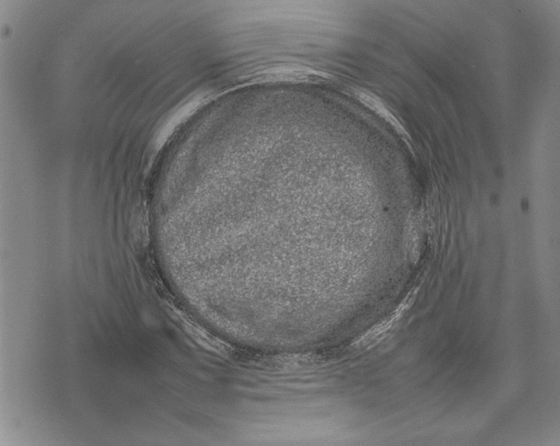 X0000075331067200609250941