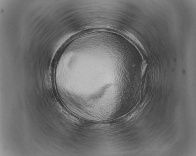 X0000075331068200609250941