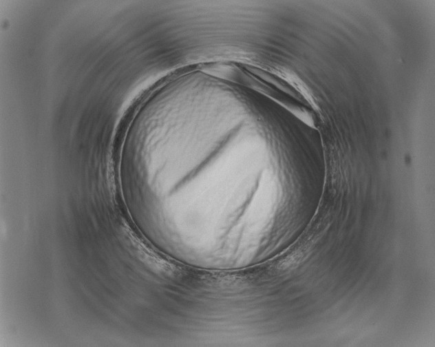 X0000075331072200609250941