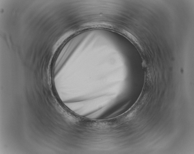 X0000075331082200609250941