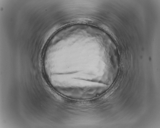X0000075331083200609250941