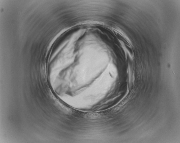 X0000075331092200609250941
