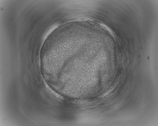 X0000075331095200609250941