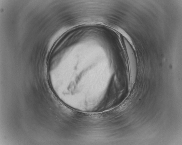 X0000075331096200609250941