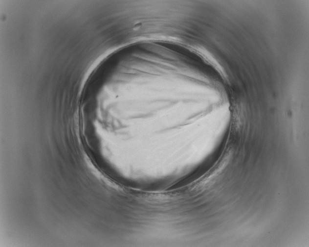 X0000075331100200609250941