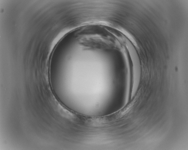 X0000075331102200609250941