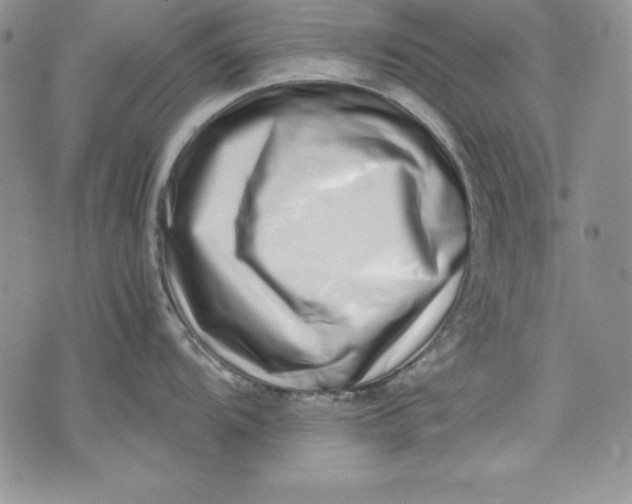 X0000075331104200609250940