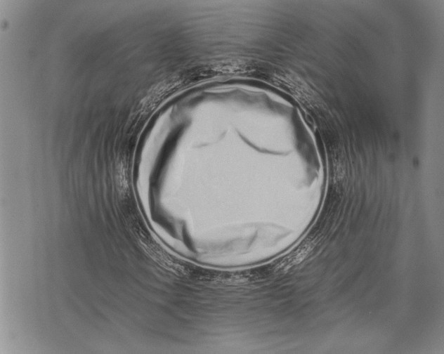 X0000075331106200609250940