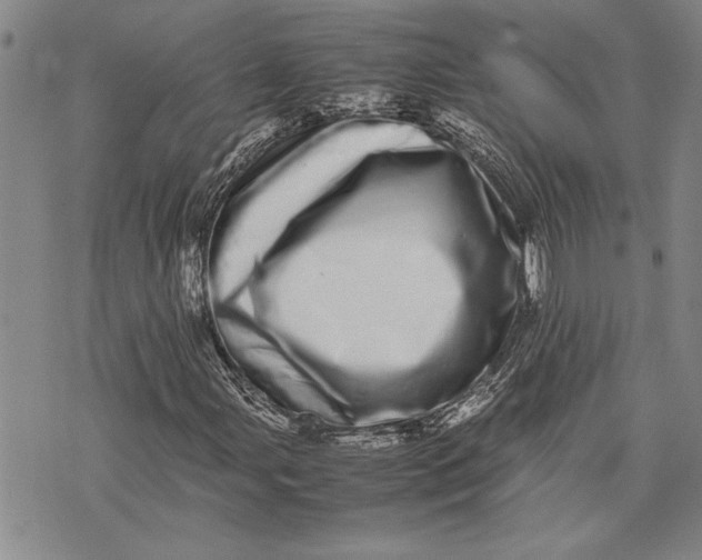 X0000075331107200609250940