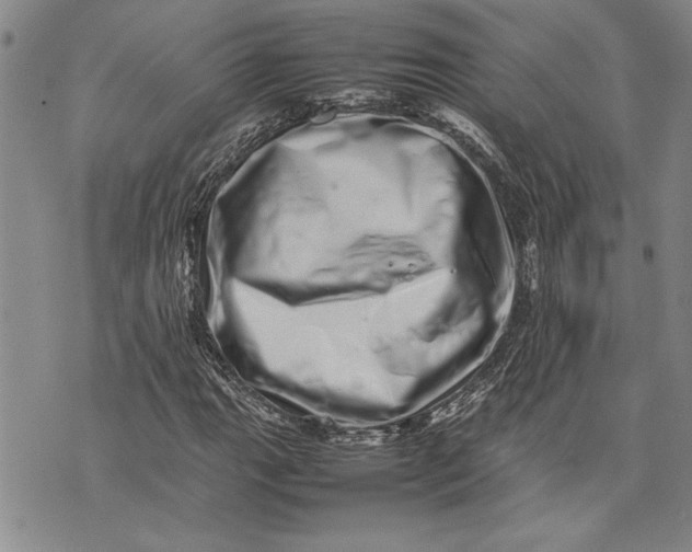 X0000075331111200609250940