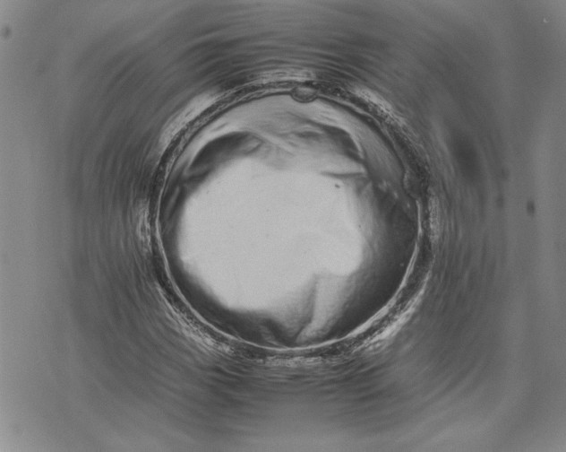 X0000075331113200609250940