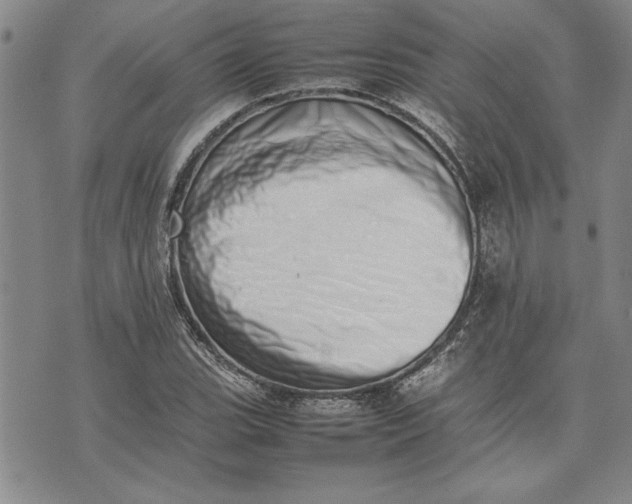 X0000075331119200609250940