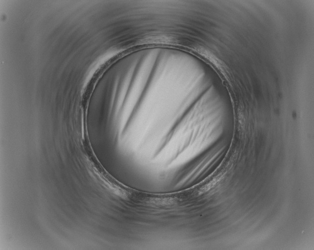 X0000075331123200609250940