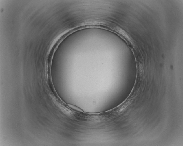 X0000075331124200609250940