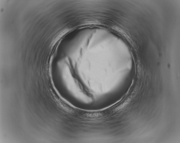 X0000075331129200609250940