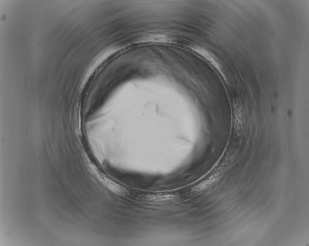 X0000075331131200609250940