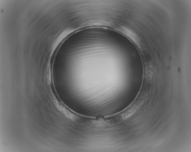 X0000075331132200609250940