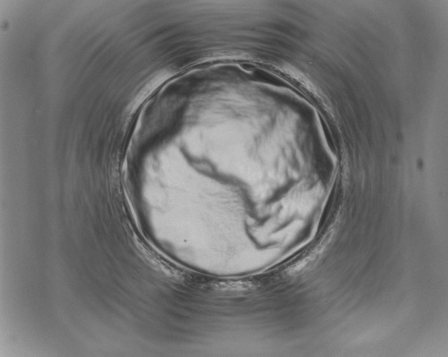 X0000075331137200609250940