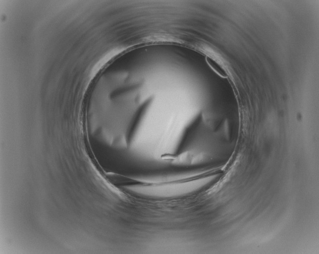 X0000075331141200609250940