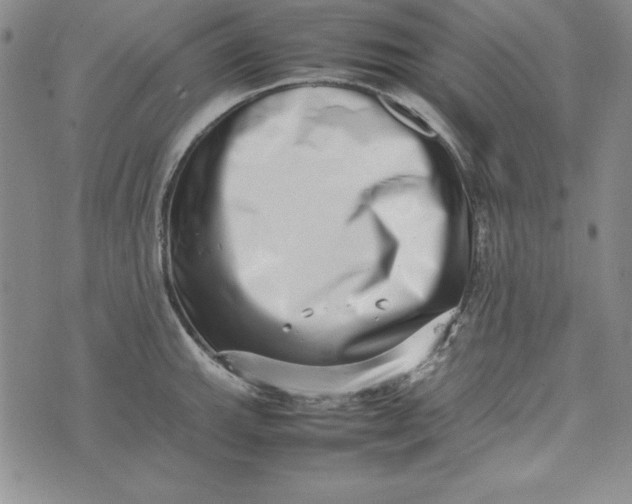 X0000075331143200609250940