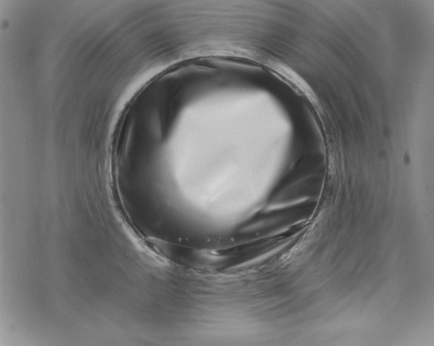 X0000075331144200609250940