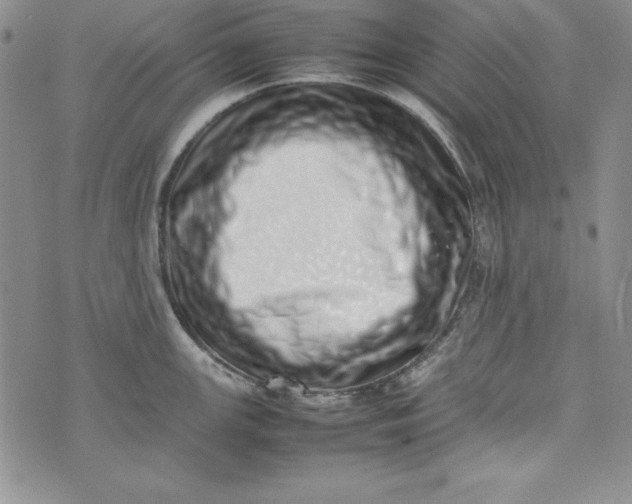 X0000075331147200609250940