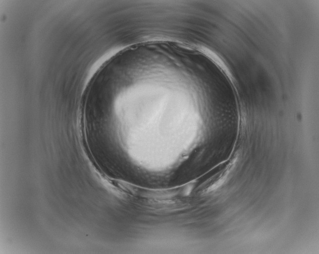 X0000075331149200609250940
