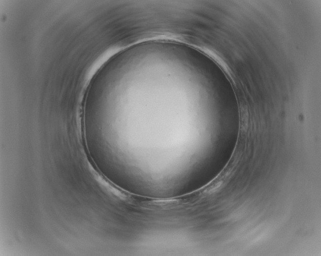 X0000075331151200609250940