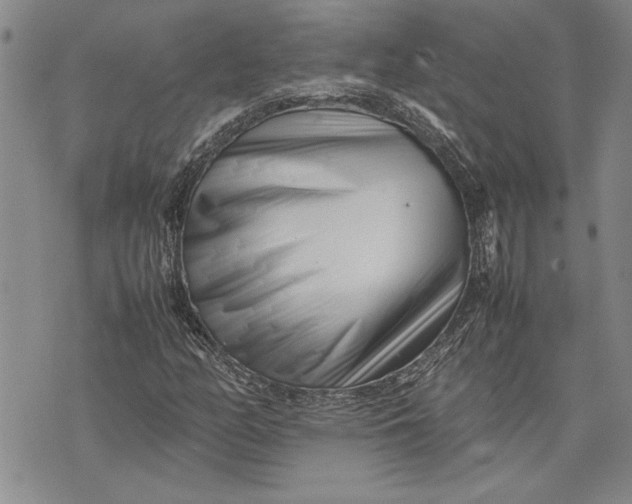 X0000075331158200609250940