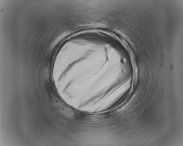 X0000075331163200609250940