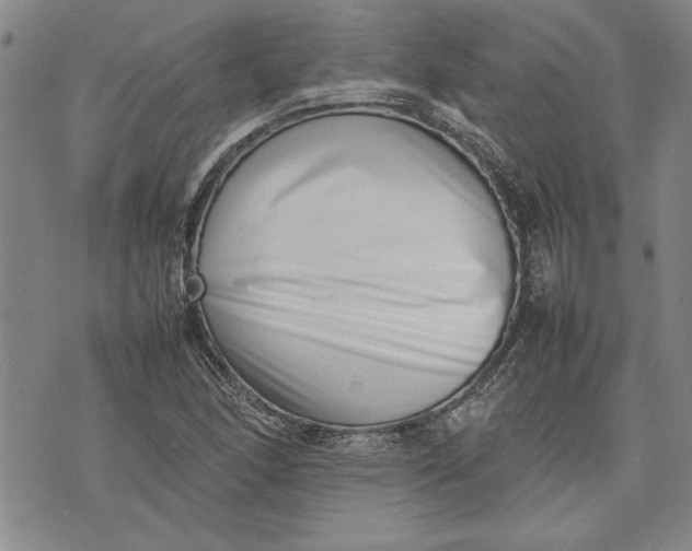 X0000075331166200609250939