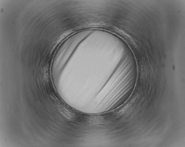 X0000075331170200609250939