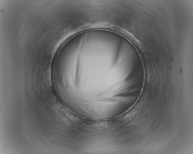 X0000075331174200609250939