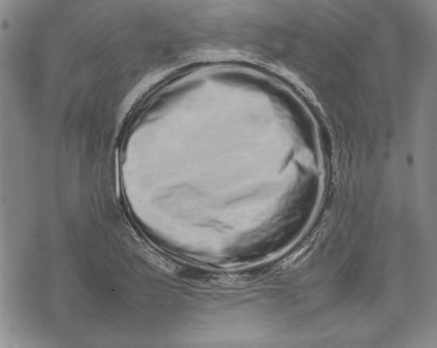 X0000075331175200609250939
