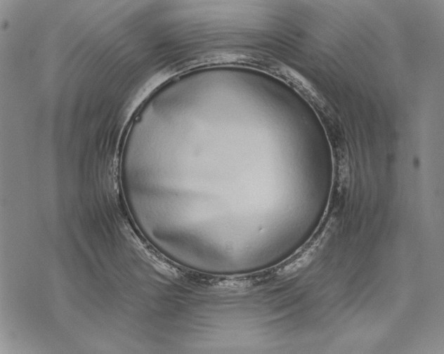 X0000075331178200609250939