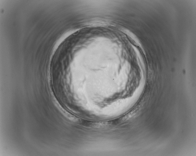 X0000075331195200609250939