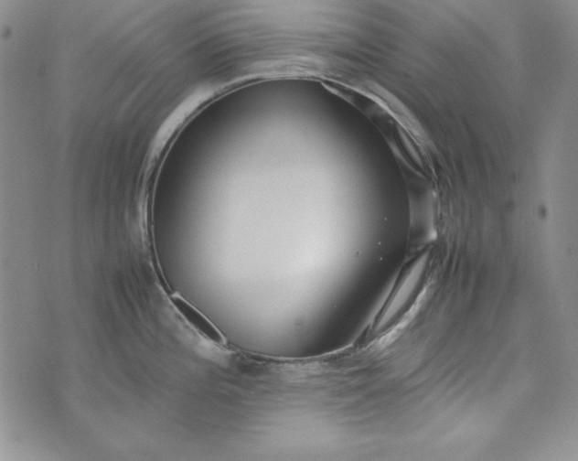 X0000075331196200609250939