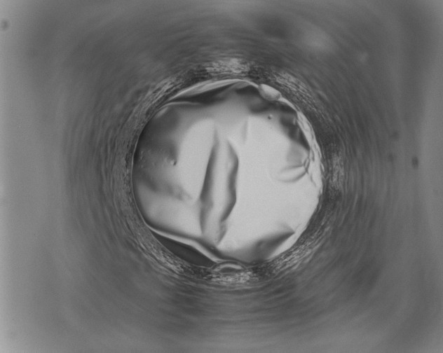 X0000075331201200609250938