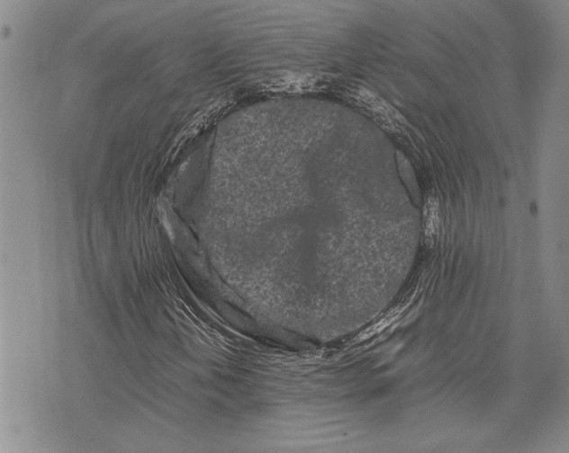 X0000075331202200609250938