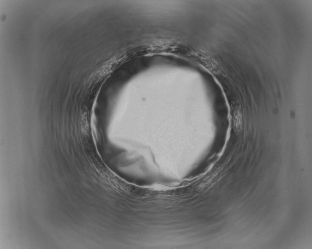 X0000075331204200609250938