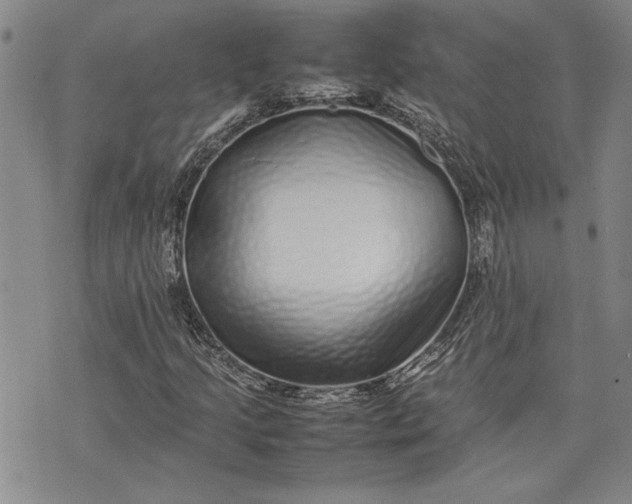 X0000075331205200609250938
